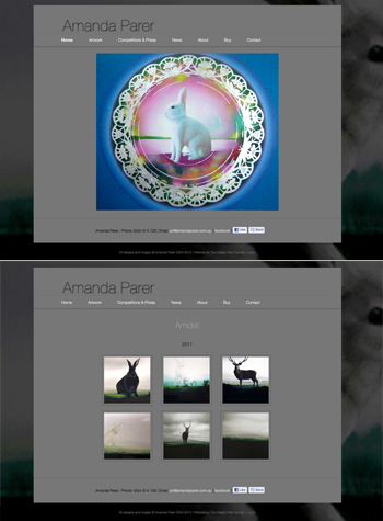 Website design for Amanda Parer Website design for Amanda Parer